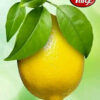 Fresh Lemons 400 per KG
