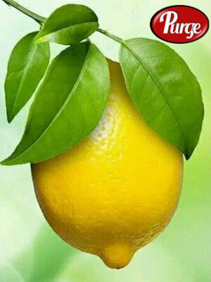 Fresh Lemons 400 per KG