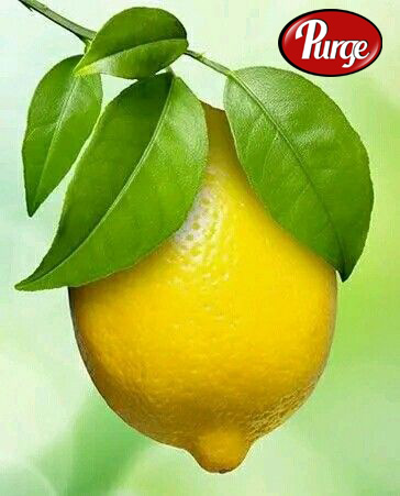 Fresh Lemons 400 per KG