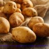 Premium Quality Potatoes