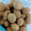 Premium Quality Potatoes