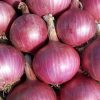 Onions 3